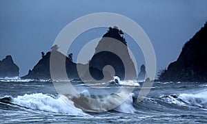 DEWEY BEACH SURF