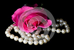 Dewey pink rose and pearls photo