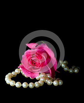 Dewey pink rose and pearls - vertical orientation photo