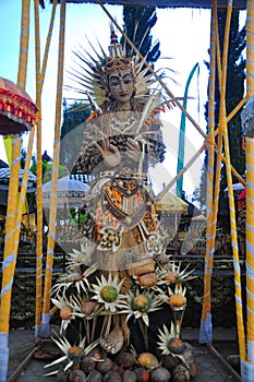 Dewi sri statue have made from the seeds of agriculture .this symbol of prosperity