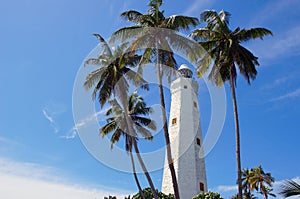 Dondra Lighthouse, Sri Lanka, behind the palm trees