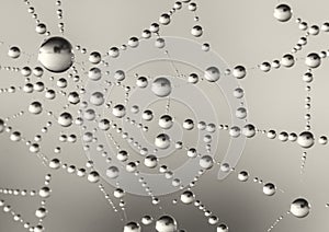 Dewy spiderweb with a circular pattern