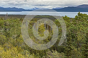 Dezadeash lake, near Haines Junction, in Yukon