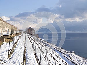 Dezaley In Lavaux During Winter with Snow