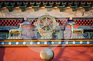 Dharmacakra - Wheel of the Dharma and two doe simbol of buddhism, hinduism, jainism photo