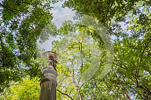 the dharmachakra in forest of Wat Umong temple in Chiang Mai, Th