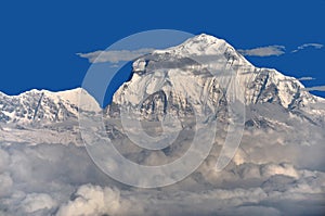 Dhaulagiri Himal photo