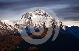 Dhaulagiri mount - view from Poon Hill, Nepal Himalaya