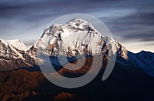 Dhaulagiri mount - view from Poon Hill, Nepal Himalaya photo