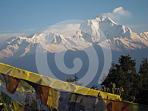 Dhaulagiri view from Poon Hill photo