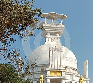 Dhauli