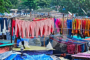 Dhobi Ghat is an open air laundromat lavoir in Mumbai, India with laundry drying on ropes