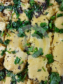 Dhokla gujrati dish and green coriander leaves on it