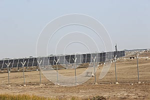 Dholera solar power project 500 MGW