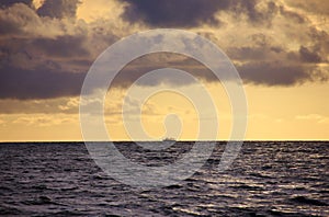 Dhoni sailing at sunset, Maldives