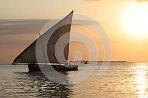 Dhow Boat