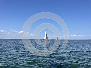 Dhow Indian Ocean Ilha dos Porcos Inhambane Mozambique