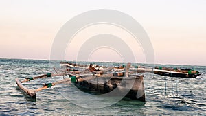 Dhow or mokoro in the shallow sea water at Jamibiani Beach, Zanzibar