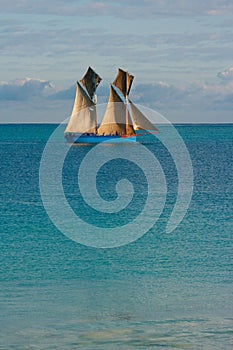 Dhow Sailing