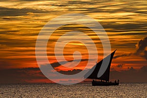 Dhow sailing during sunset in Zanzibar. D