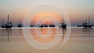 dhows in the shore parked at katara beach in qartar during dhow festival