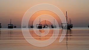 dhows in the shore parked at katara beach in qartar during dhow festival