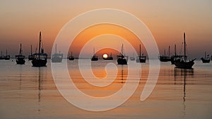 dhows in the shore parked at katara beach in qartar during dhow festival