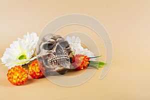 Dia De Los Muertos background photo