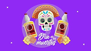 Dia de los muertos celebration with mariachi hat and tequila bottles