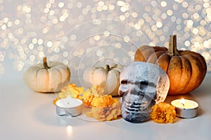 Dia de los Muertos, Mexican Day of the Dead table composition. Orange tagetes, marigold flowers and artificial skull