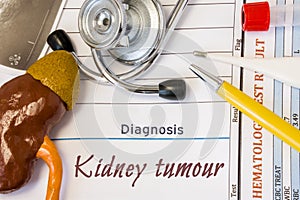 Diagnosis Kidney Tumour photo. Figure of kidney lies next to incription of diagnosis of kidney tumour, ultrasound, stethoscope, he