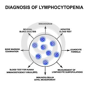 Diagnosis of lymphocytopenia. Decreased lymphocytes in the blood. Infographics. Vector illustration on isolated photo