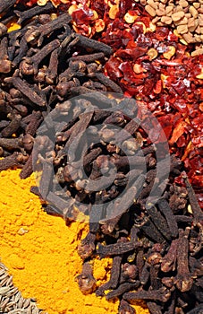 Diagonal abstract curry spices