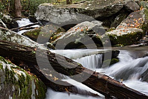Diagonal deadfall tree log across a flowing creek in fall