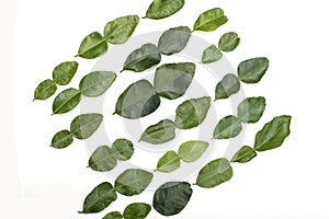Diagonal of lime leaves