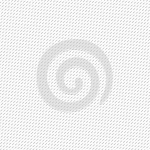Diagonal lines white pattern with dashes. Seamless texture Ã¢â¬â vector photo