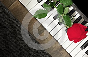 Romantic Isolated Red Rose on Piano Keyboard, Floor, and Rug Pattern Background Composed Diagonally.