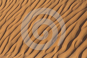 Diagonal print on yellow sand dune