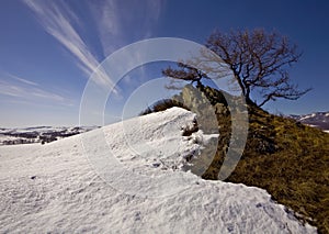 Diagonales of nature