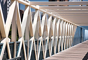 Diagonally Trussed Pedestrian Bridge