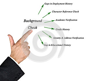 Diagram of Background Check