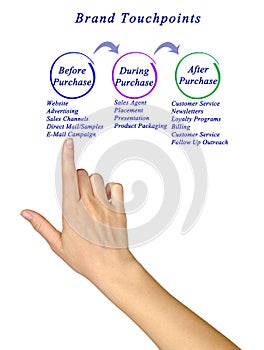 Diagram of Brand Touchpoint