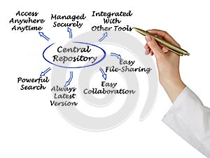 Diagram of central repository