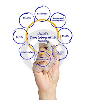 diagram of Child's Developmental Needs