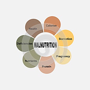 Diagram concept with Malnutrition text and keywords. EPS 10 isolated on white background