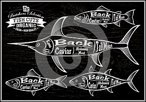 Diagram cut carcasses salmon, swordfish, herring, tuna