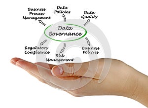 Diagram of Data Governance