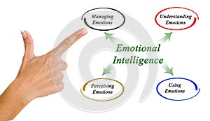 Diagram of emotional intelligence