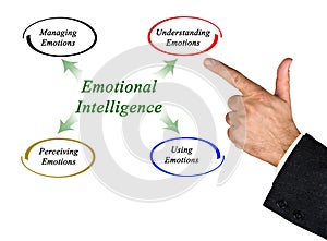 Diagram of emotional intelligence