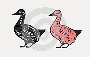 Diagram guide for cutting meat, butcher shop. Duck vector illustration